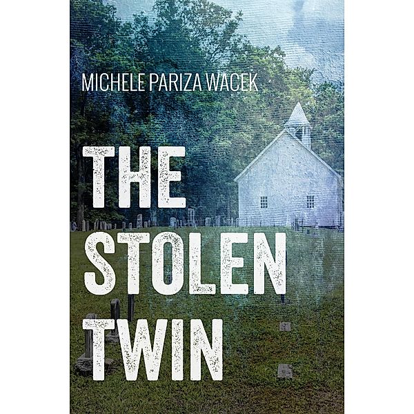 The Stolen Twin (The Riverview Mysteries, #2) / The Riverview Mysteries, Michele PW (Pariza Wacek)