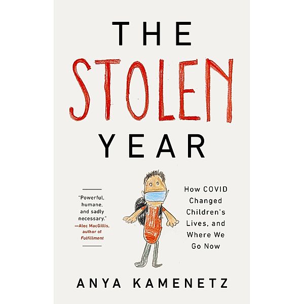 The Stolen Year, Anya Kamenetz