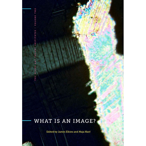 The Stone Art Theory Institutes: What Is an Image?