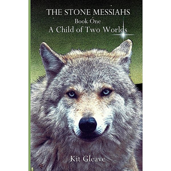 The Stone Messiahs : Book One - A Child Of Two Worlds, Kit Gleave