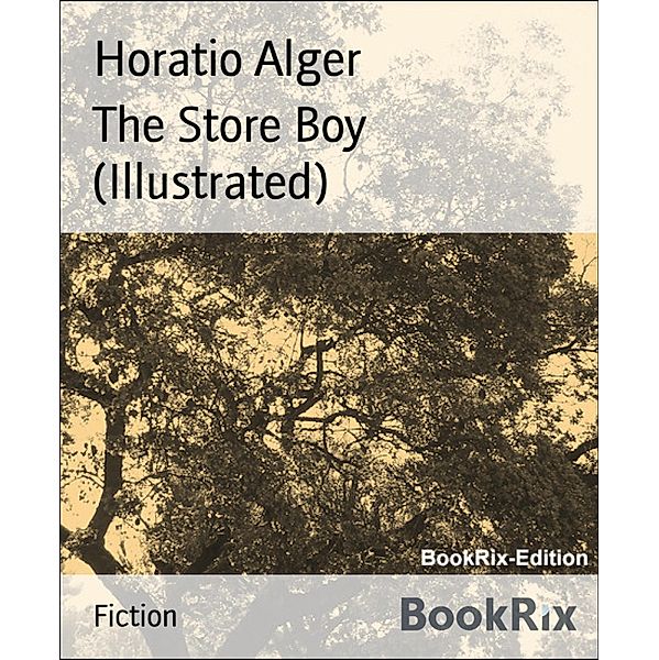 The Store Boy (Illustrated), Horatio Alger