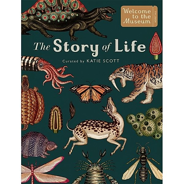 The Story of Life: Evolution (Extended Edition), Ruth Symons