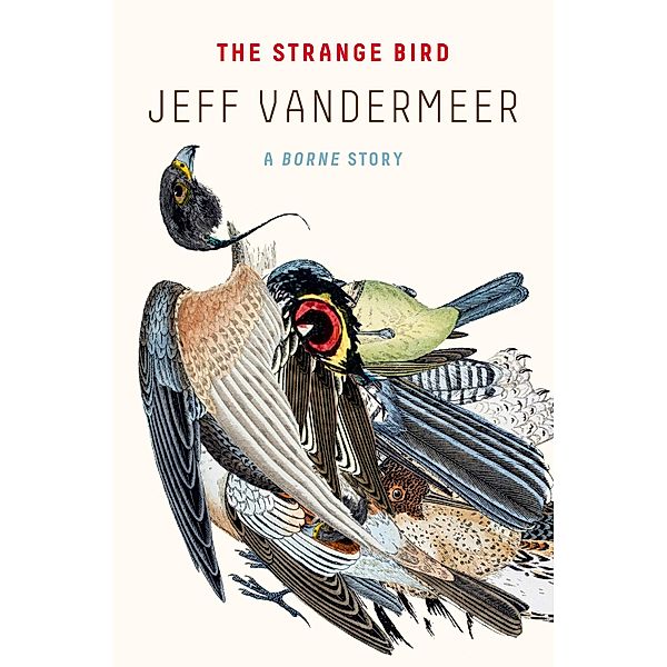 The Strange Bird, Jeff VanderMeer