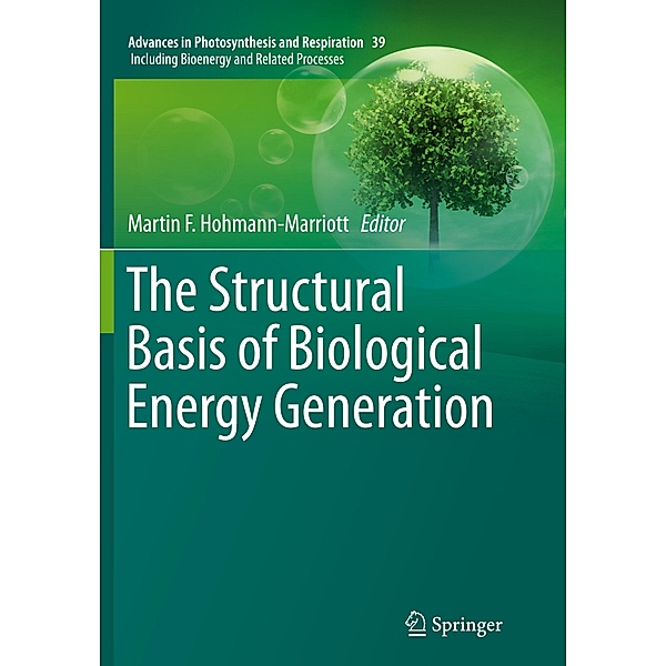 The Structural Basis of Biological Energy Generation