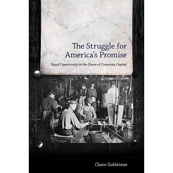 The Struggle for America's Promise, Claire Goldstene