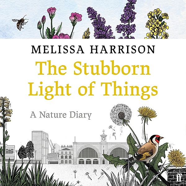 The Stubborn Light of Things, Melissa Harrison