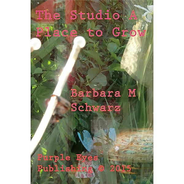 The Studio A Place To Grow, Barbara M Schwarz