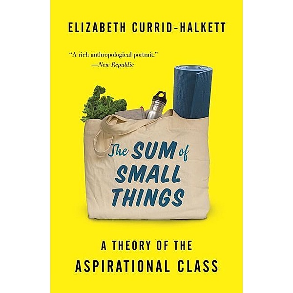 The Sum of Small Things - A Theory of the Aspirational Class, Elizabeth Currid-Halkett