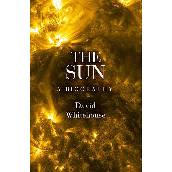 The Sun, David Whitehouse