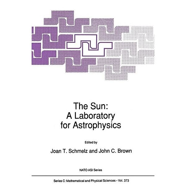 The Sun: A Laboratory for Astrophysics / Nato Science Series C: Bd.373