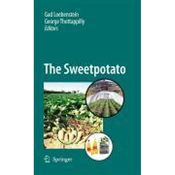 The Sweetpotato