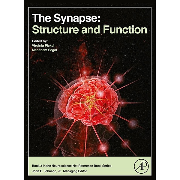The Synapse