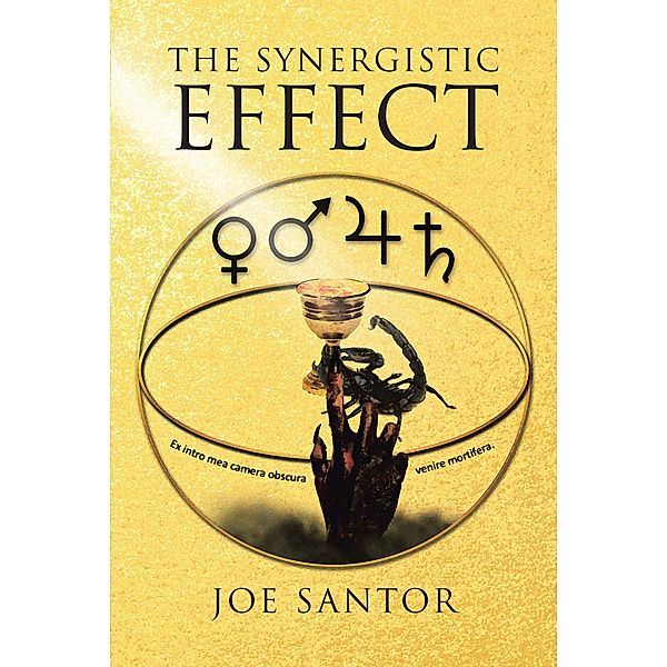 The Synergistic Effect, Joe Santor