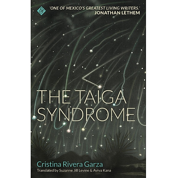 The Taiga Syndrome, Cristina Rivera Garza