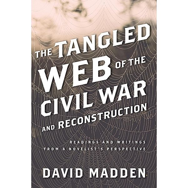 The Tangled Web of the Civil War and Reconstruction, David Madden