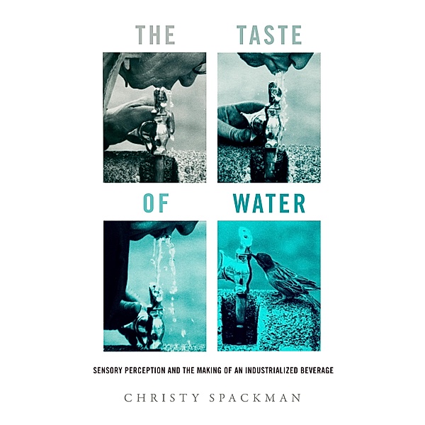 The Taste of Water / Critical Environments: Nature, Science, and Politics Bd.15, Christy Spackman
