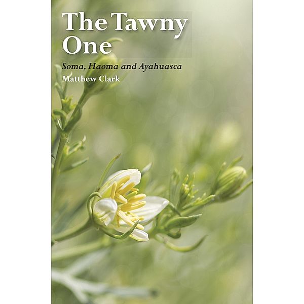 The Tawny One, Matthew Clark