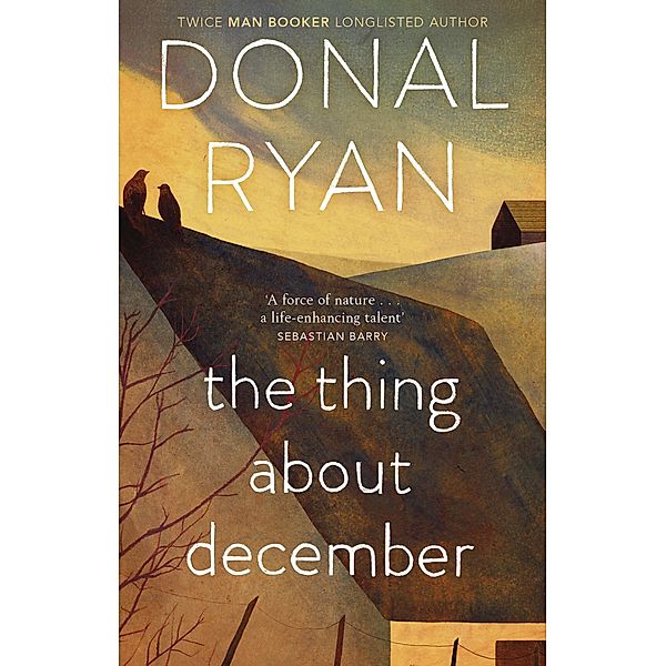 The Thing About December, Donal Ryan