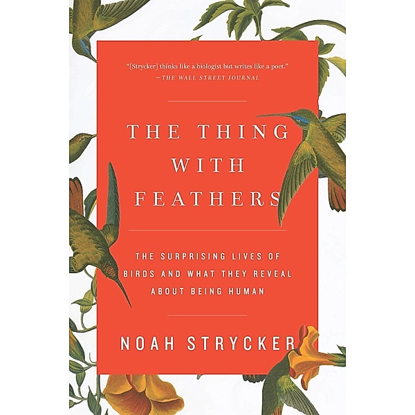 The Thing with Feathers, Noah Strycker