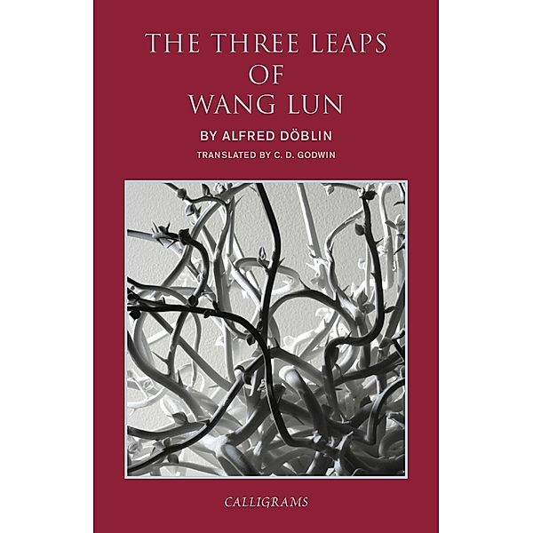 The Three Leaps of Wang Lun, Alfred Doblin