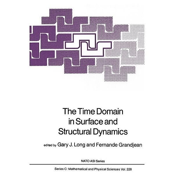 The Time Domain in Surface and Structural Dynamics / Nato Science Series C: Bd.228