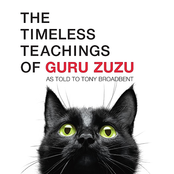 The Timeless Teachings of Guru Zuzu, Tony Broadbent
