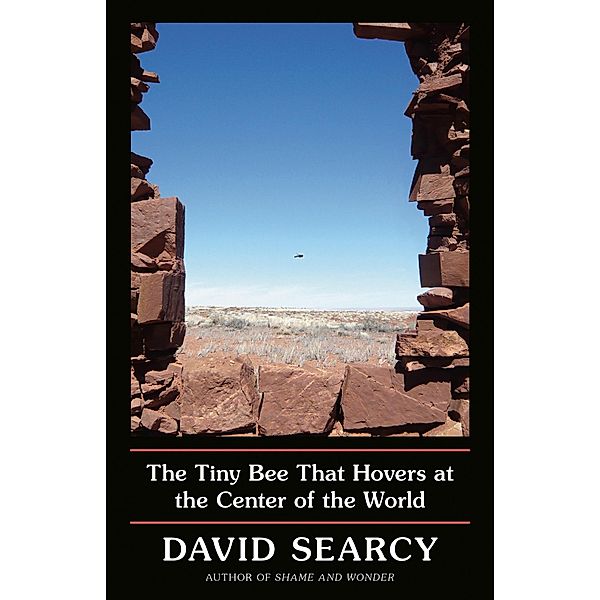 The Tiny Bee That Hovers at the Center of the World, David Searcy