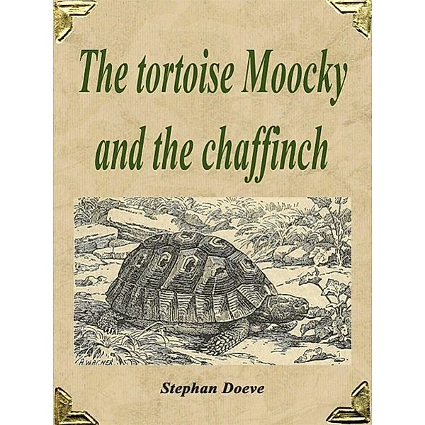 The tortoise Moocky and the chaffinch, Stephan Doeve