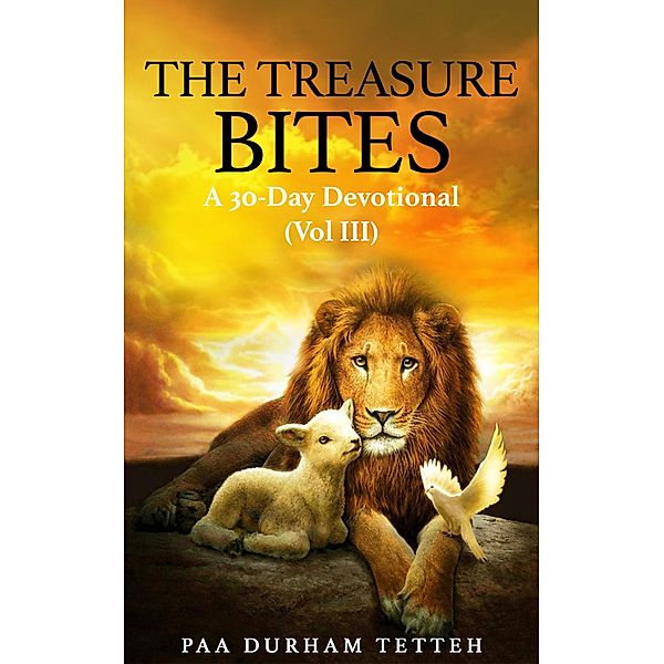 The Treasure Bites / The Treasure Bites Series Bd.3, Paa Durham Tetteh