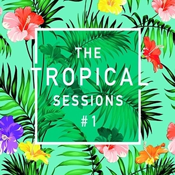 The Tropical Sessions # 1, Diverse Interpreten