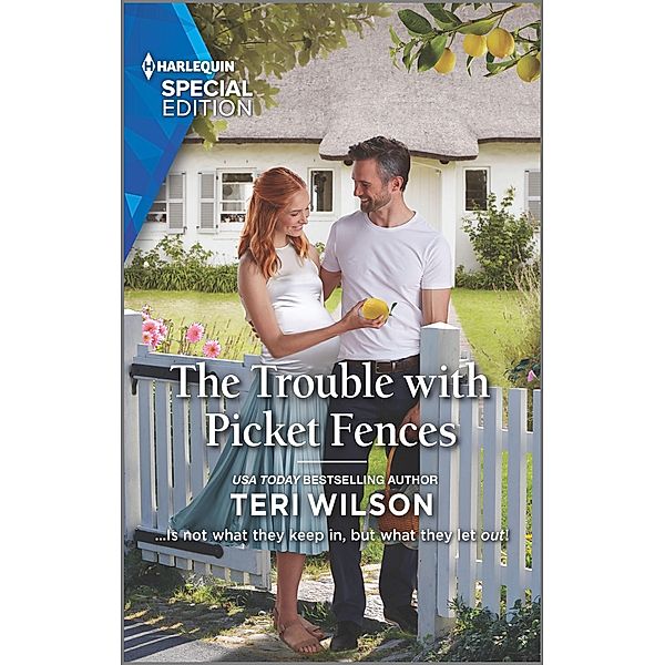 The Trouble with Picket Fences / Lovestruck, Vermont Bd.3, Teri Wilson