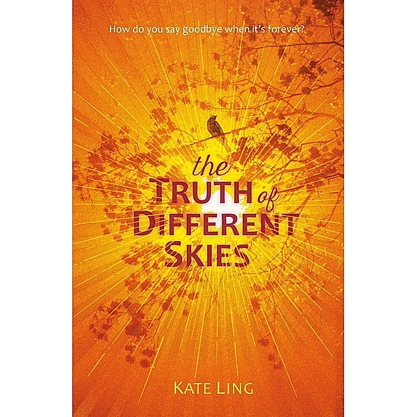 The Truth of Different Skies / Ventura Saga Bd.3, Kate Ling