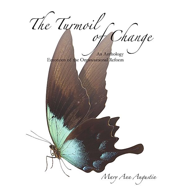 The Turmoil of Change, Mary Ann Augustin