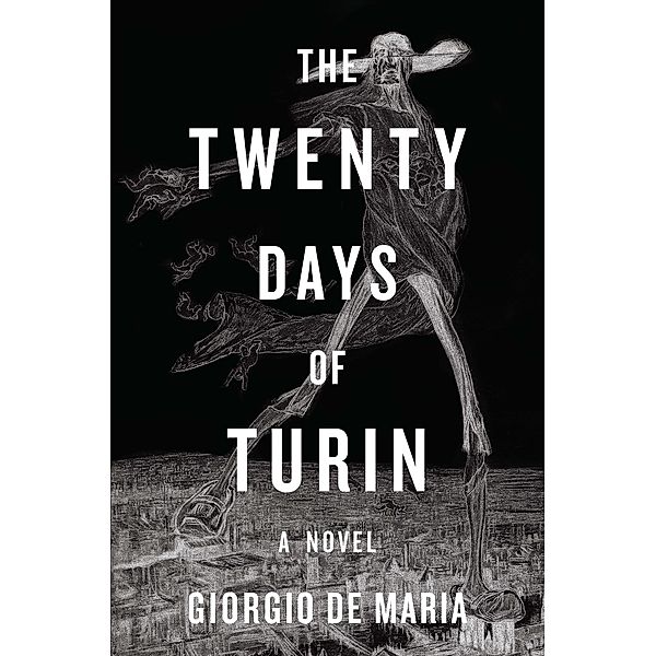 The Twenty Days of Turin: A Novel, Giorgio De Maria