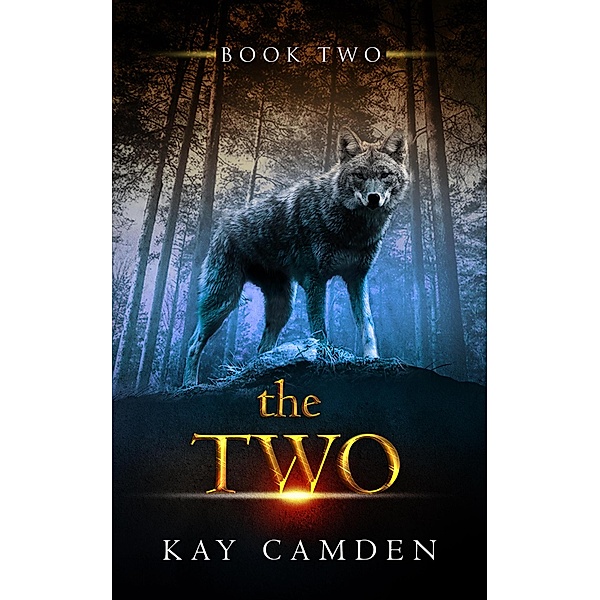 The Two (The Alignment Series, #2) / The Alignment Series, Kay Camden