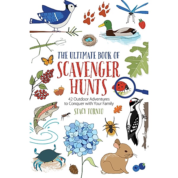 The Ultimate Book of Scavenger Hunts, Stacy Tornio