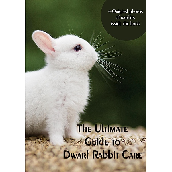 The Ultimate Guide to Dwarf Rabbit Care, Xeniya Bochan