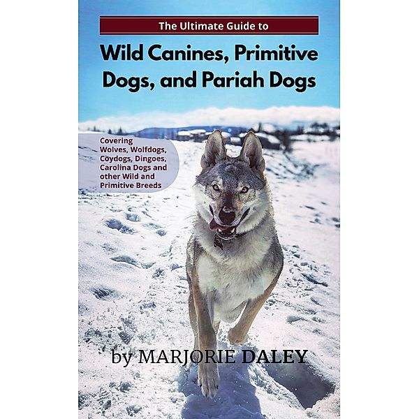 The Ultimate Guide to Wild Canines, Primitive Dogs, and Pariah Dogs, Marjorie Daley