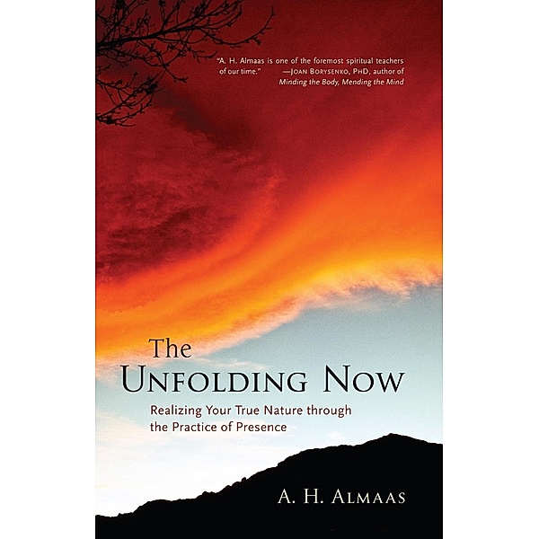 The Unfolding Now, A. H. Almaas