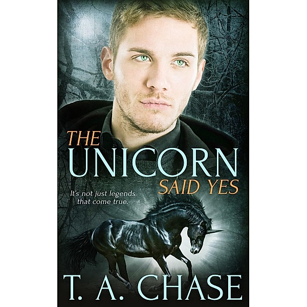 The Unicorn Said Yes, T. A. Chase