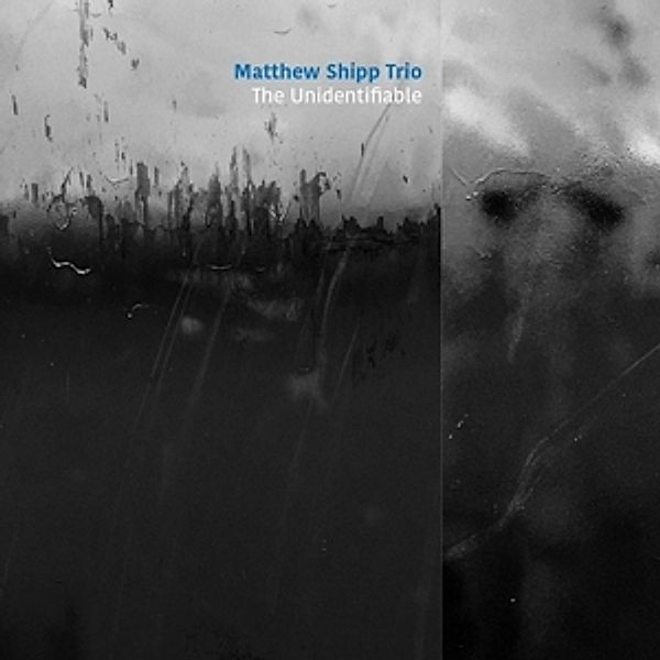 The Unidentifiable, Matthew Shipp Trio