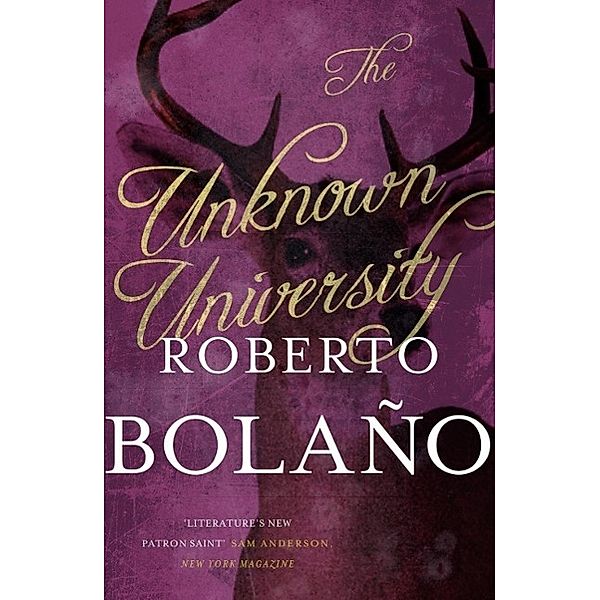 The Unknown University, Roberto Bolaño