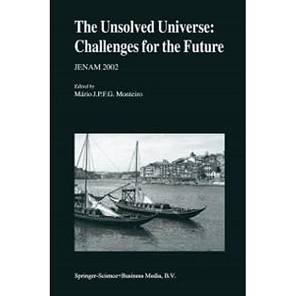 The Unsolved Universe: Challenges for the Future