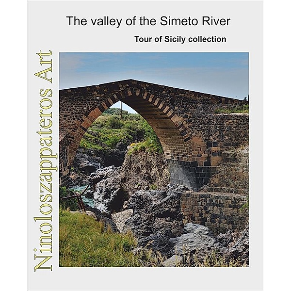 The valley of the Simeto River, Nino Borzì