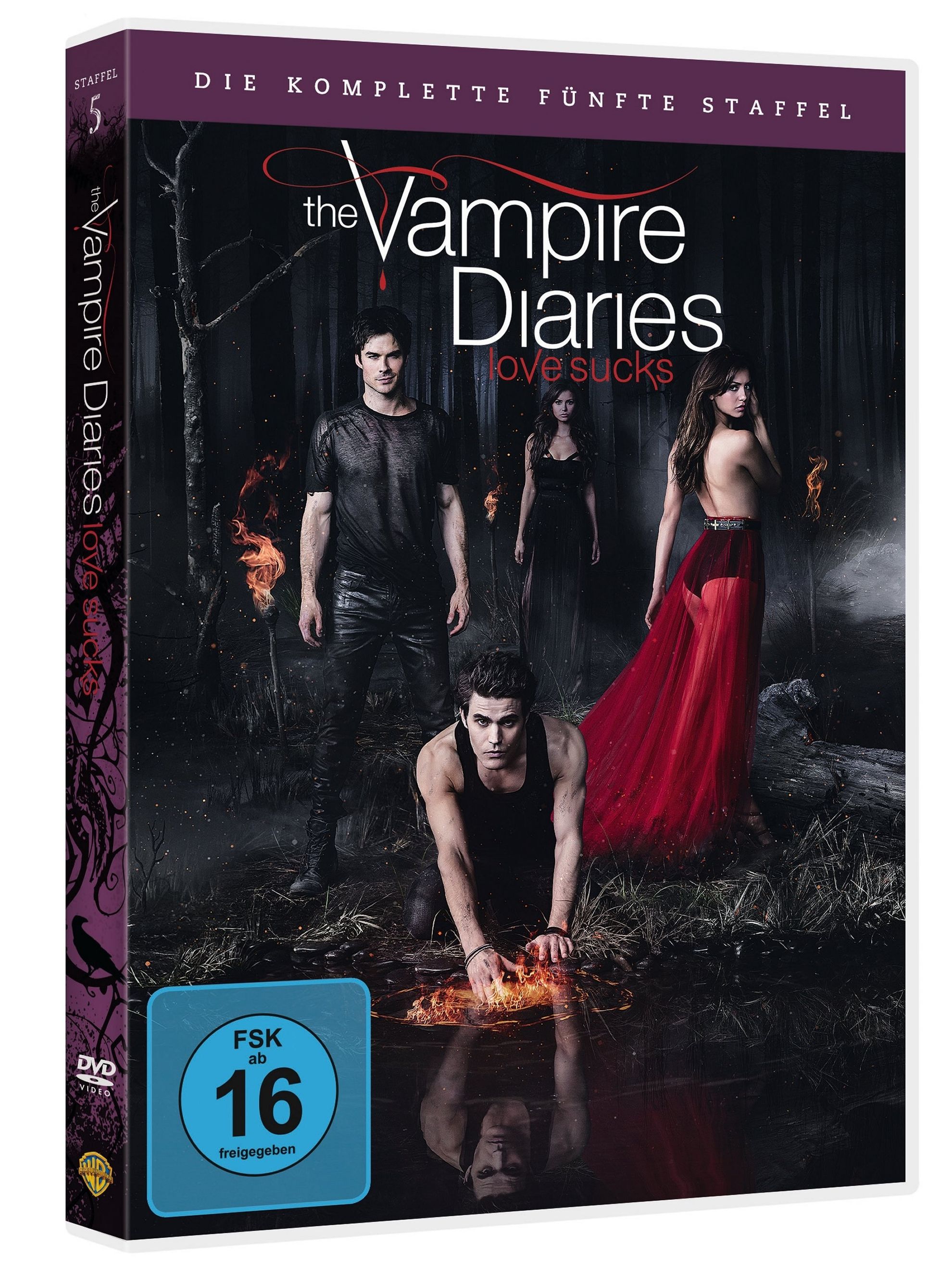  The Vampire Diaries - Staffel 2 : Nina Dobrev, Paul Wesley, Ian  Somerhalder: Movies & TV
