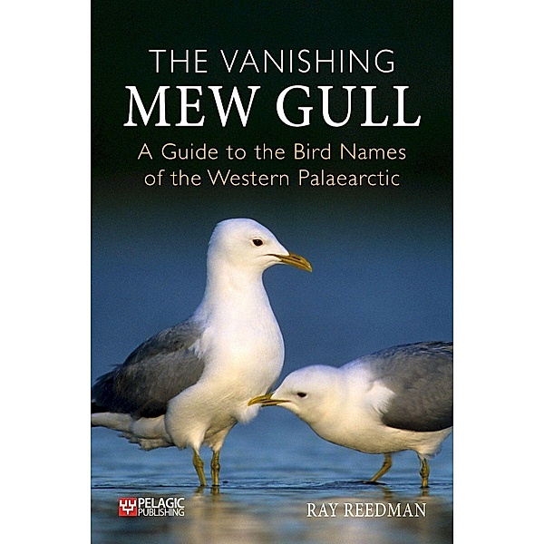 The Vanishing Mew Gull, Ray Reedman