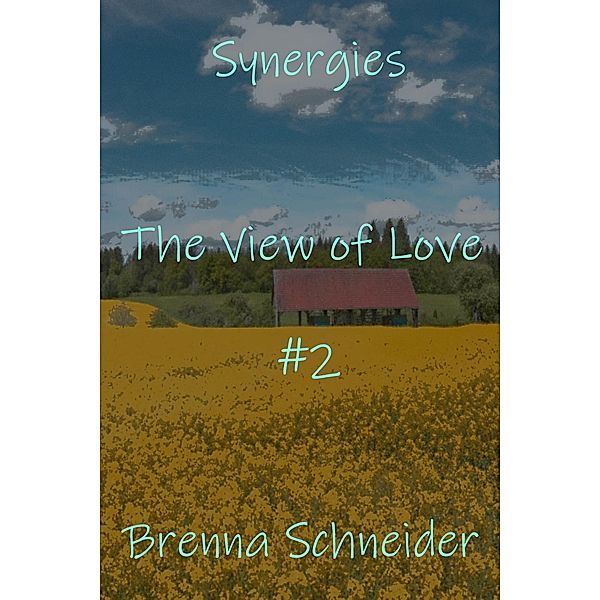 The View of Love / Synergies Bd.2, Brenna Schneider