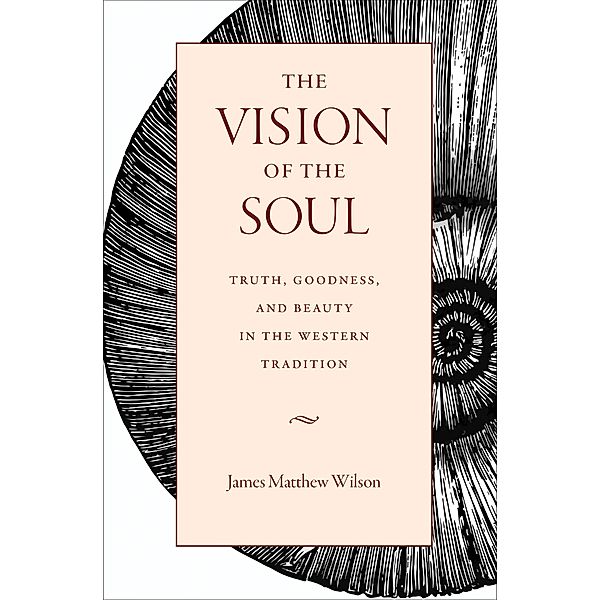 The Vision of the Soul, James Matthew Wilson