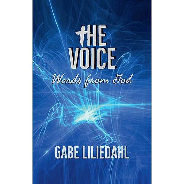 The Voice, Gabe Liliedahl