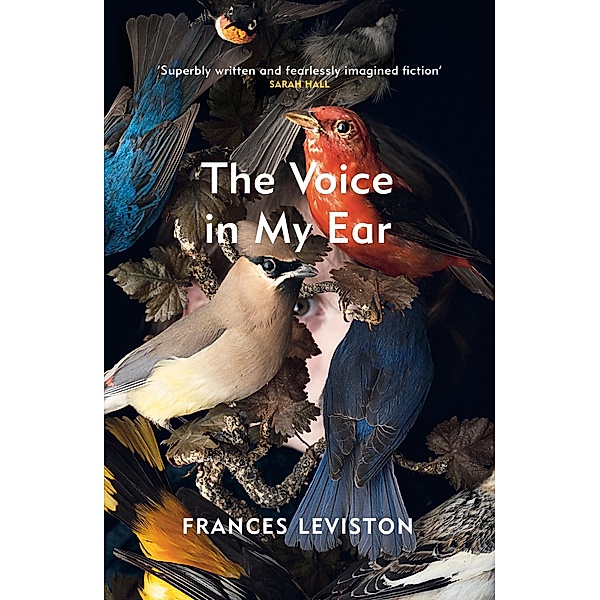 The Voice in My Ear, Frances Leviston
